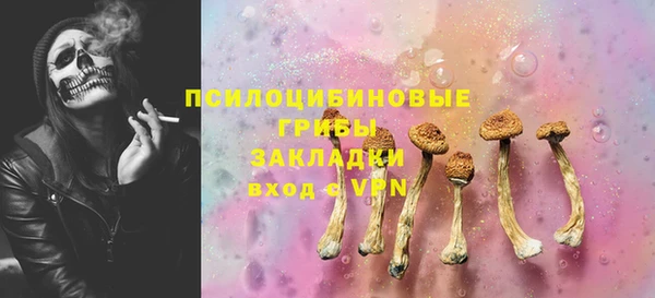 МДПВ Аркадак