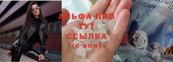 шишки Армянск