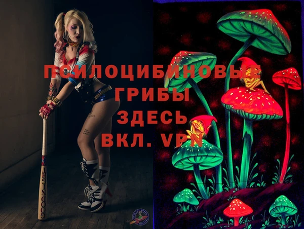 МДПВ Аркадак