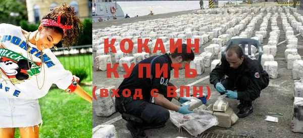 шишки Армянск