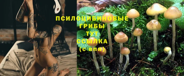 кристаллы Алзамай