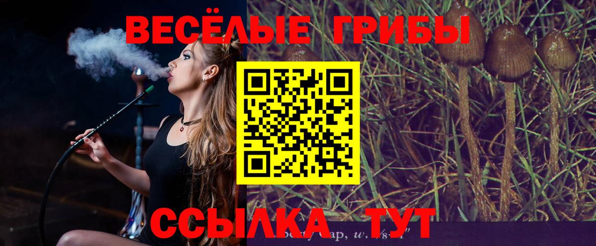 Галлюциногенные грибы прущие грибы Курган